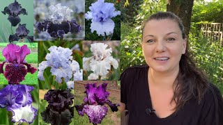 🌱 Bearded Iris Plant Haul 🌱 by Y Garden 9,470 views 9 months ago 11 minutes, 21 seconds