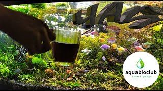 #Чай и #дуб - фитотерапия для аквариума.