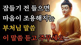 잠들기 전 들으면 마음이 조용해지는 부처님 말씀 | 이 말씀 듣고 주무세요