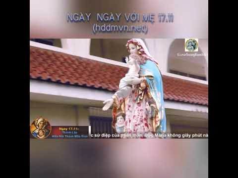NGÀY NGÀY VỚI