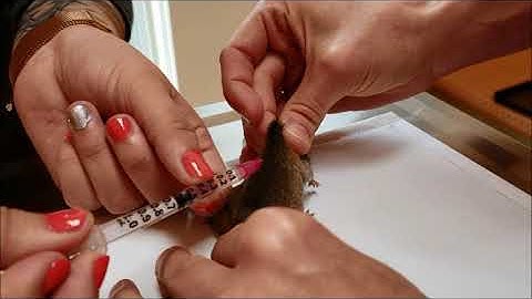 Penn Foster E2- Skill 48