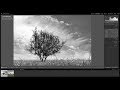 How to Know When an Image Will Look Better in B&W