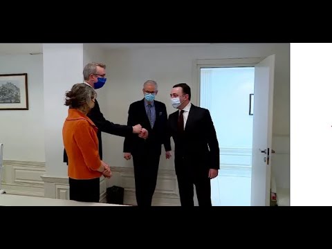 საქართველოში დაბრუნებული კრისტიან დანიელსონი პრეზიდენტს და პრემიერს შეხვდა