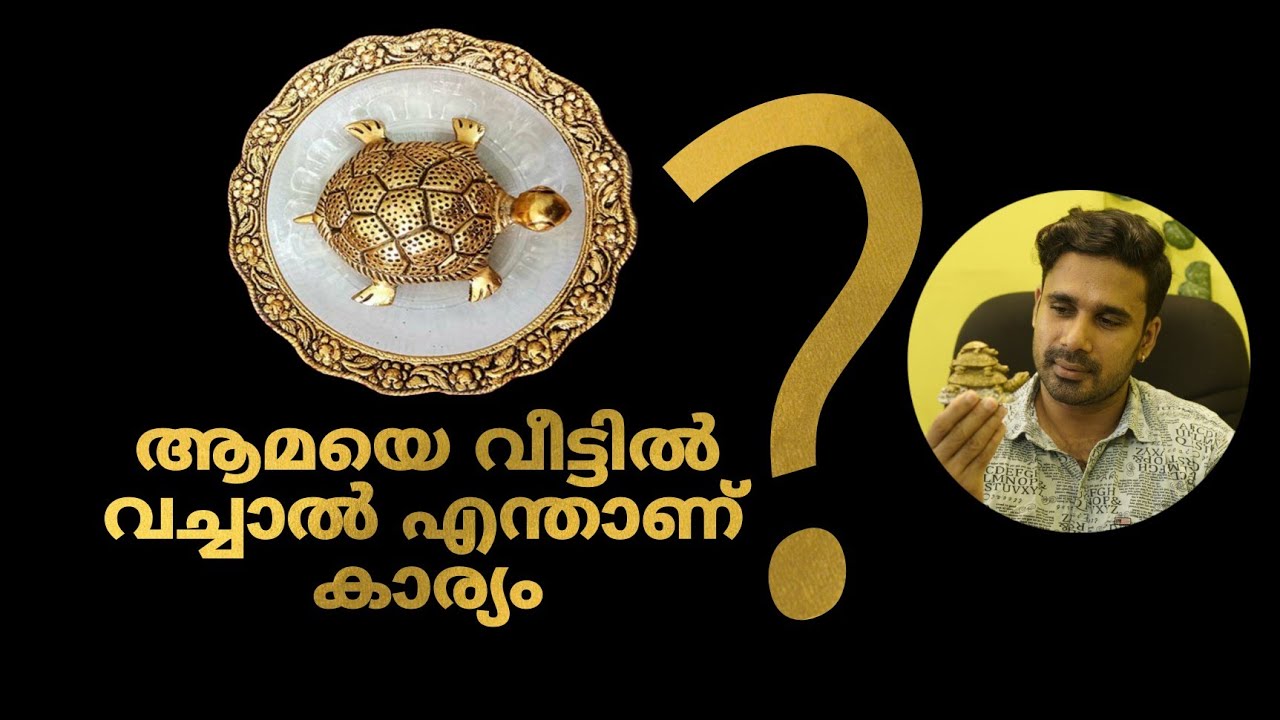 ആമകളെ വാസ്തു പ്രകാരം എങ്ങനെ ഉപയോഗിക്കാം | Significance of Tortoise idol in Feng shui