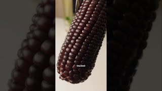 Trying 'purple waxy corn'