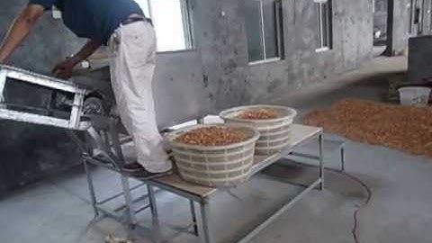 Sea food Color sorter for Shrimp sorting/ Pawn