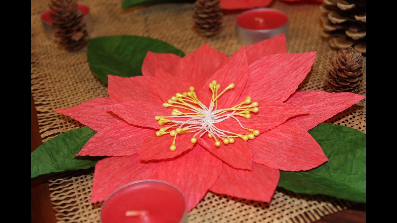 Crepe Paper Flower/Red Poinsettia YouTube