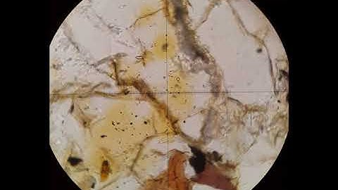 Cordierite tutorial Optical mineralogy