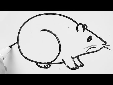 Vidéo: Comment Dessiner Des Rats