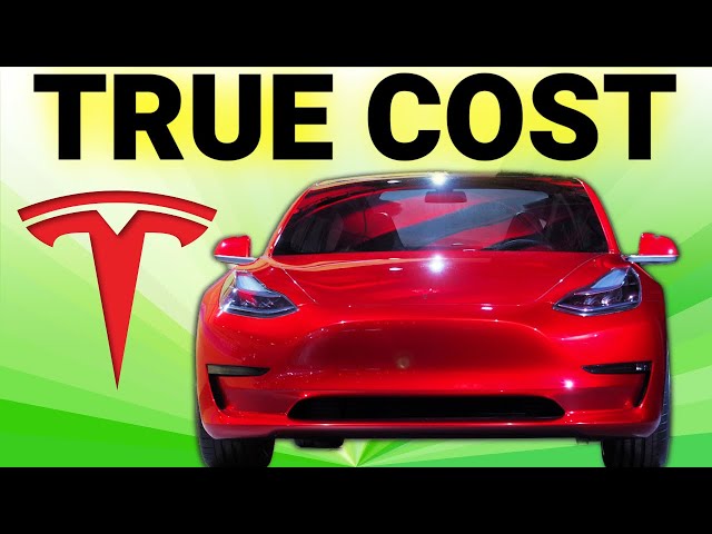 Tesla Car Insurance: Rates, How Much It Costs by Model