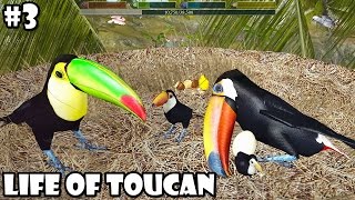 Ultimate Bird Simulator - Life of Toucan -  Android/iOS - Gameplay Part 3 screenshot 2