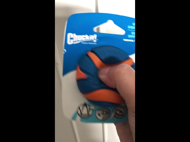 chuckit squeaker ball