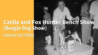 Download Lagu Cattle and Fox Hunter Bench Show (Beagle Dog Show 1950) MP3