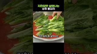 덥고 습한 여름 무조건 해드세요. 자박한 상추물김치