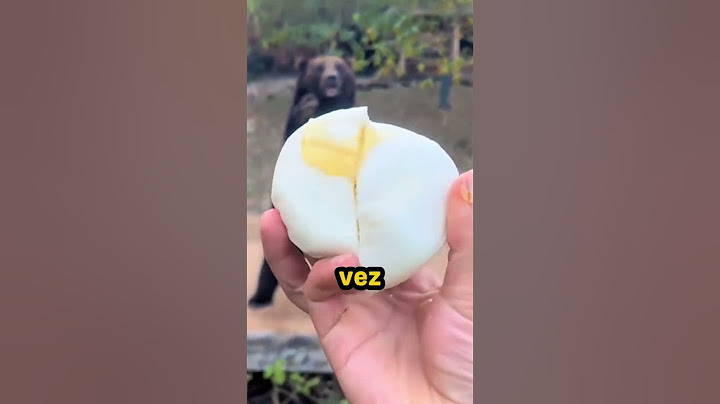 This bear asked for bread and honey, and his reaction will melt your heart! 🐻🍯