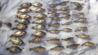 Ice Fishing Kentuck Lake in Wisconsin... Nonstop action at the end of the day