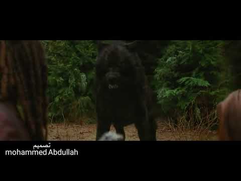 يا مقتدى الخير الك ابعث سلامي