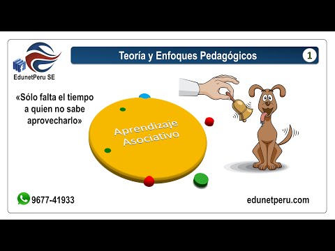 Video: ¿Cuáles son dos tipos de aprendizaje asociativo?