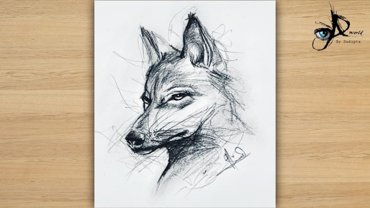 How to Draw a Realistic Fox Face | Pencil Sketch Easy Fox Drawing for Beginners | Pencil Art