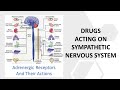 Receptors and Drugs of Sympathetic Nervous System  (in Hindi/Urdu)