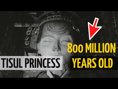 The Tisul Princess / A find that is 800 million years old: truth or nonsense?