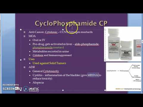 Pharmacology 935 c CycloPhosphamide ifosfamide mesna cystitis CCNS  AntiCancer