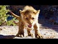 THE LION KING Behind The Scenes Trailer