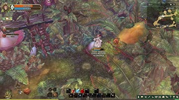Elementalist iTOS 220 - Grind solo Alemeth Forest
