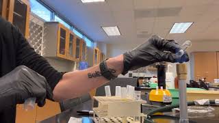 Kirby Bauer Disk Diffusion Antimicrobial Susceptibility Test