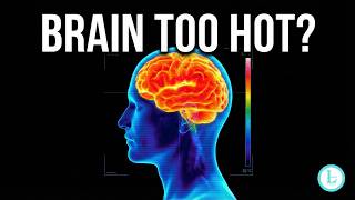 5 Ways to Cool Your Brain for Instant Deep Sleep