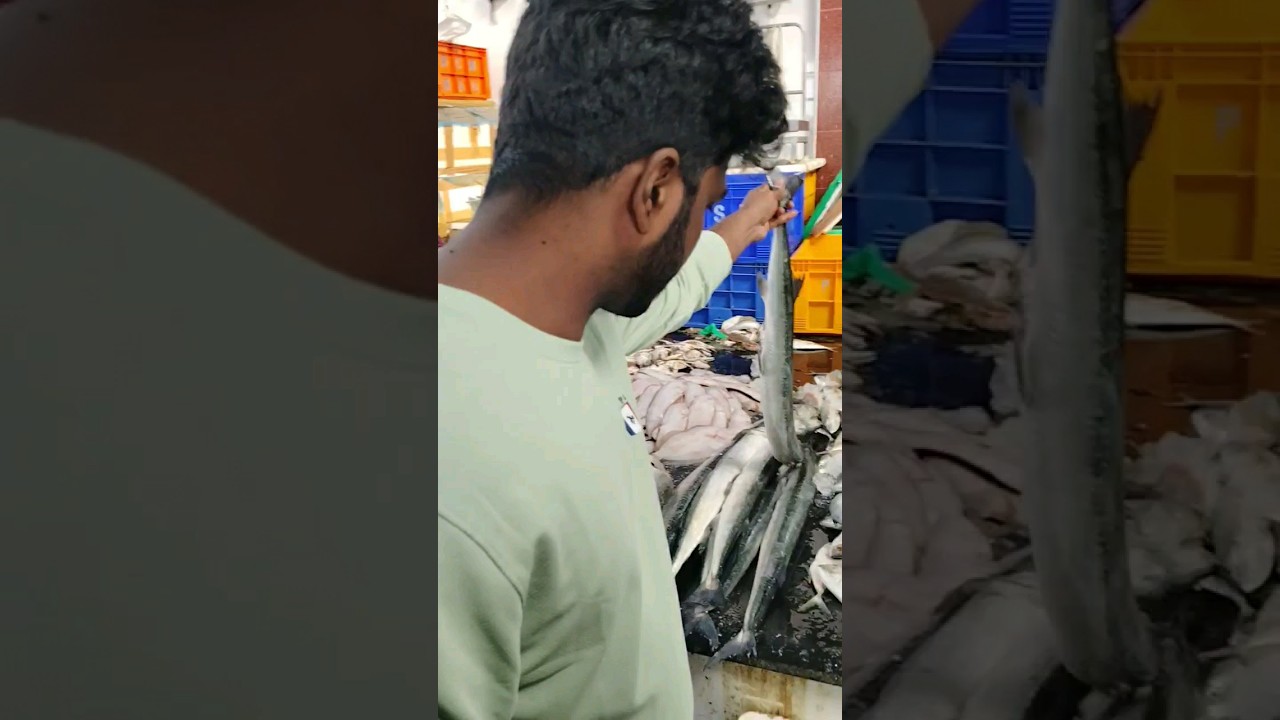 Today Vanagaram Fish Market sunday orginalvoice vjai vanagaram-fish-market-wholesalefishmarket-youtube