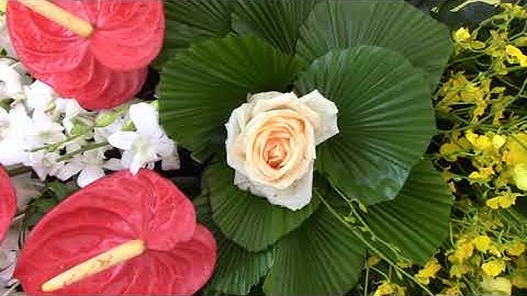 LỄ BỔ NHIỆM ĐẠI ĐỨC MINH VIÊN - TRỤ TRÌ TỊNH XÁ NGỌC VIÊN