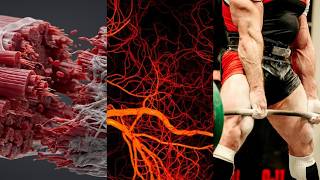 How to Optimise your Growth Factors Naturally for Superhuman Healing