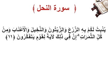 سورة النحل الأية 11