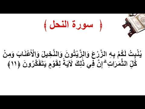 سورة النحل الأية 