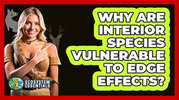 Why Are Interior Species Vulnerable to Edge Effects?