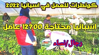 كونطرات للعمل في اسبانيا للمغاربة 2022(للعمل في الفراولة نساء ورجال)