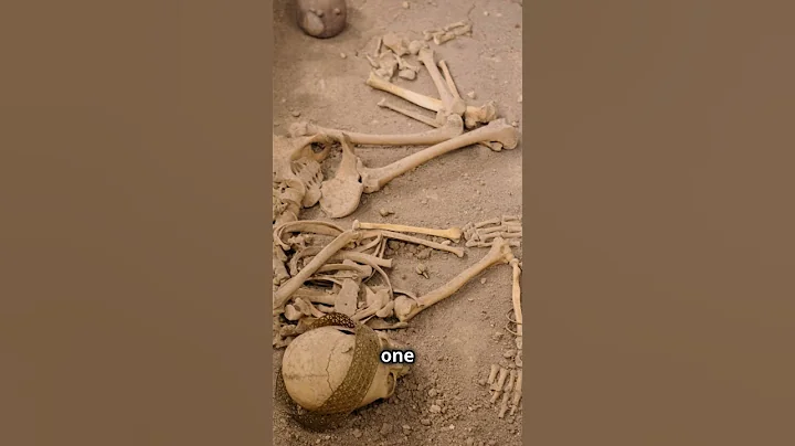 lake MUNGO #history #anthropology #humanhistory #science #anthropologylectures #humankind #biology