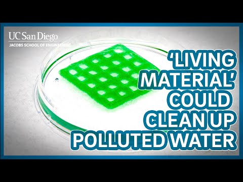 "Living material" offers new way to clean polluted water