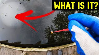 You won’t believe what I found Magnet Fishing in the Flooded River