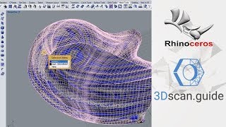 Rhinoceros, video 3. RhinoResurf. Reverse engineering of Organic forms. Profile