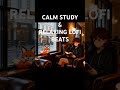 LoTuneFox – Elegant Café LoFi | Calm Study &amp; Relaxing Beats #lofi #lofihiphop #lofimu #lofimusic