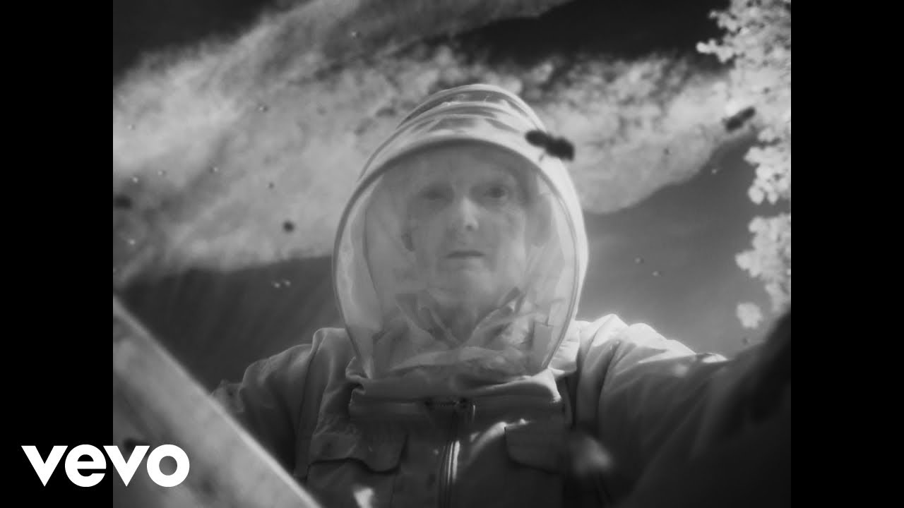 Pumarosa - Lions’ Den (Official Video)