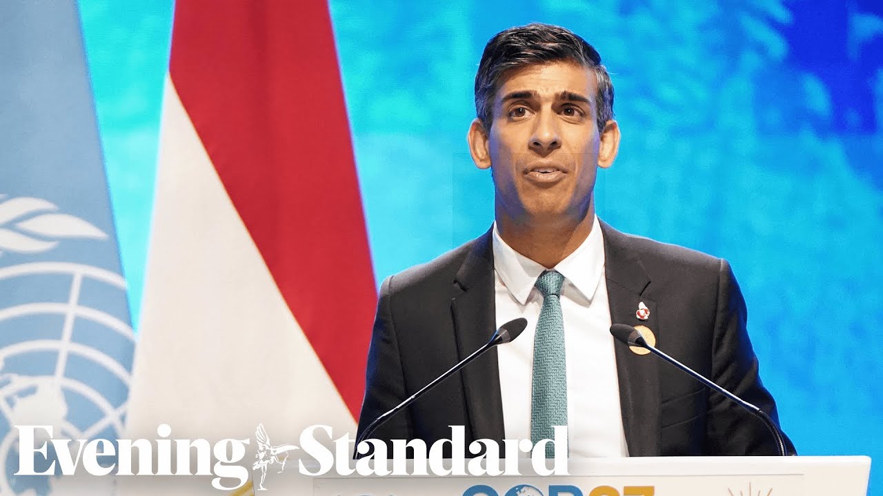 COP27: Rishi Sunak tells world leaders ‘we can deliver on 1.5C limit pledge’