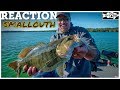 The Best All-Around Smallmouth Bass Presentation