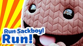 Our Community Made a Video for Run Sackboy! Run!