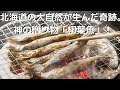 【お取り寄せグルメ】北海道の大自然が生んだ、神様の贈り物「柳葉魚」。