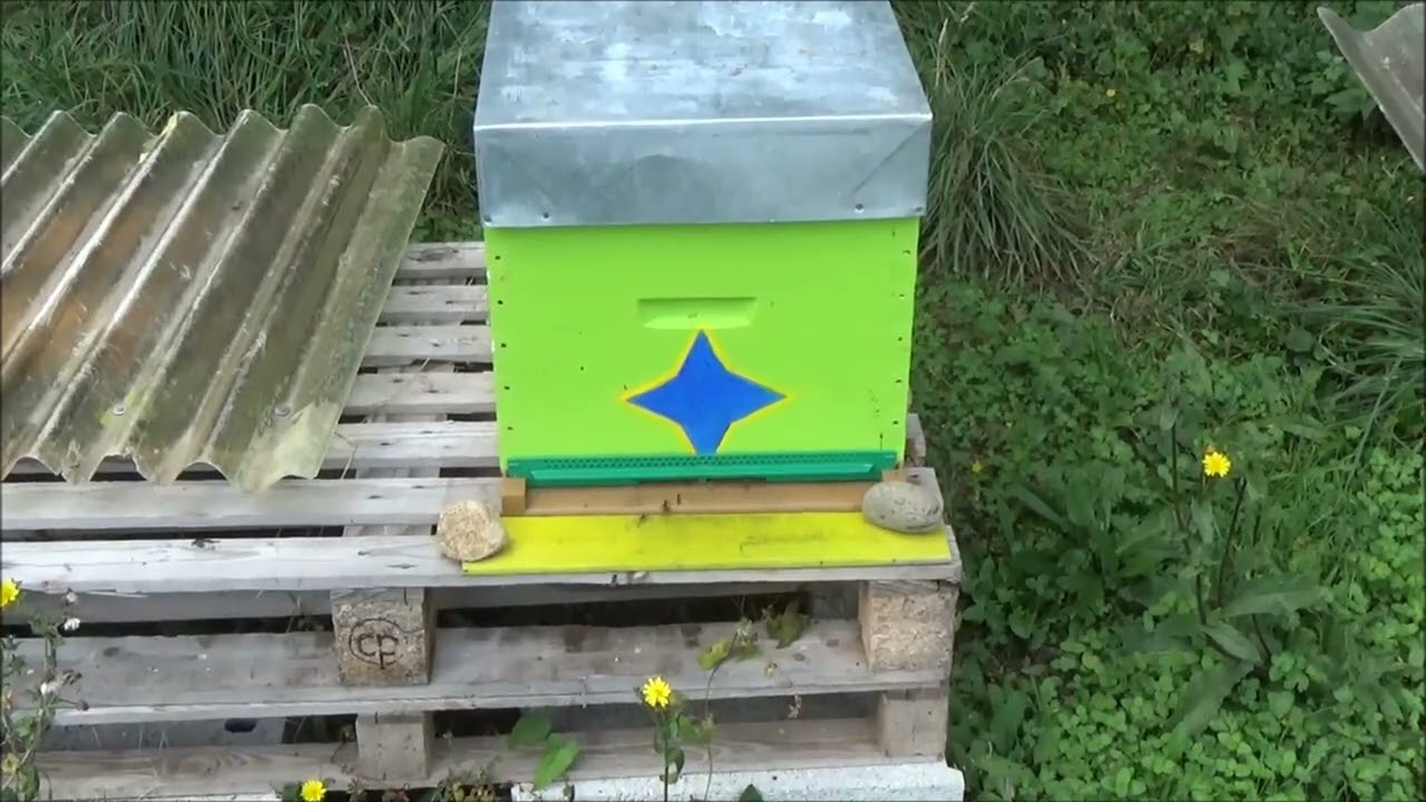 Comment préparer les ruches à l'hivernage ?