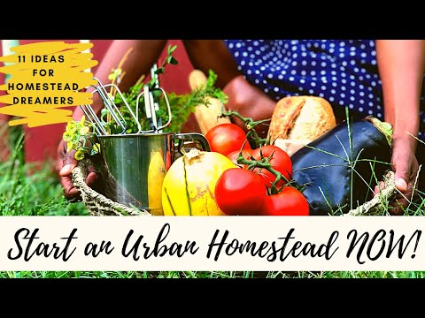 How to Homestead Without Land| How to Urban Homestead | My Diary | E1Fall | Monthly Series