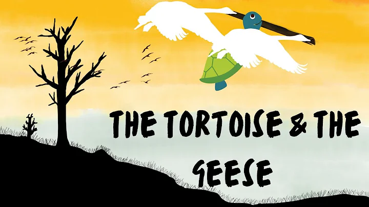 The tortoise & the geese